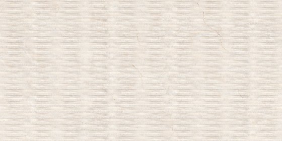 Bissaza Marfil(P-19)-R1