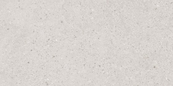 Quartzite Grey-R1-P10