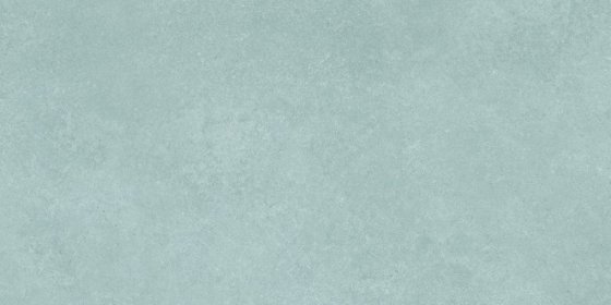 Will Stone Mint-R1-P10